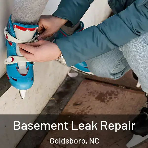  Basement Leak Repair Goldsboro, NC