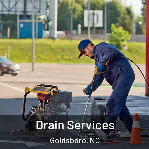  Drain Services Goldsboro, NC