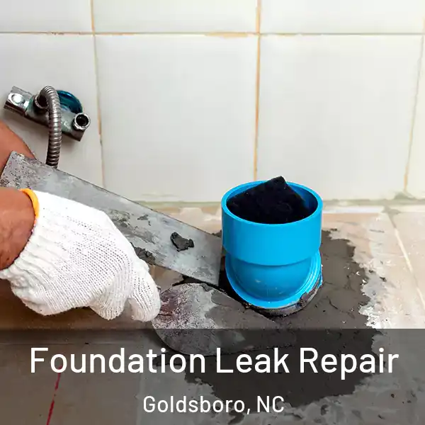  Foundation Leak Repair Goldsboro, NC
