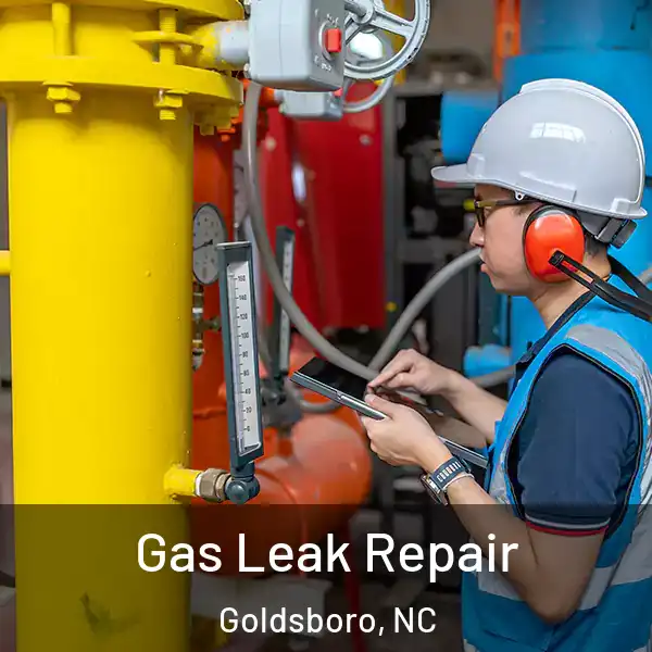  Gas Leak Repair Goldsboro, NC