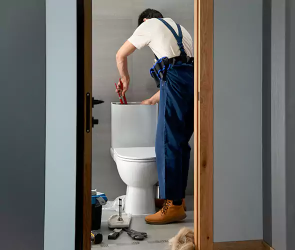 Professional Plumbers for Toilet Bowl Replacement in Goldsboro, NC: Schedule Affordable Toilet Replacement Services With Us
