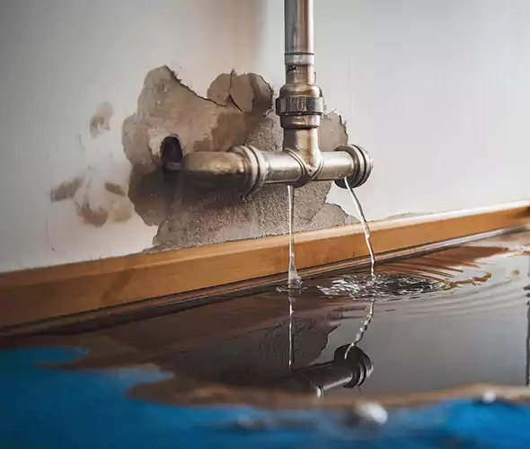 Professional Water Damage Restoration Experts in Goldsboro, NC — Fast, Reliable & Certified
