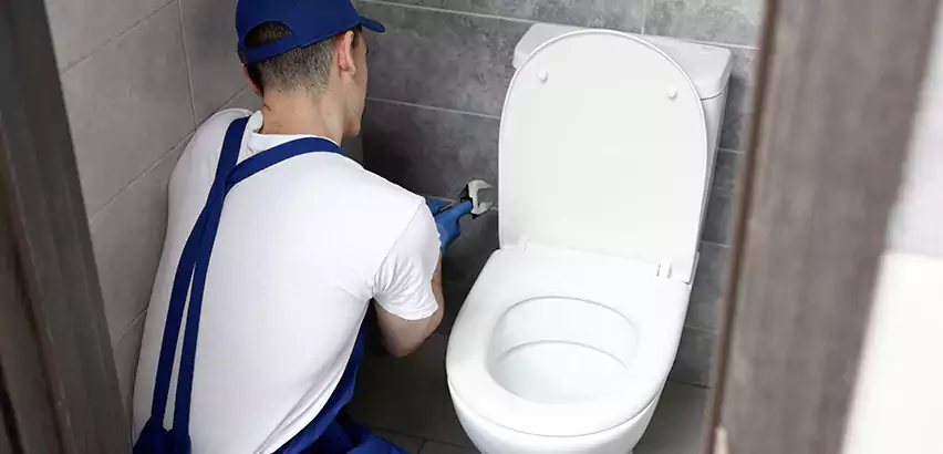 Toilet Lid Replacement in Goldsboro