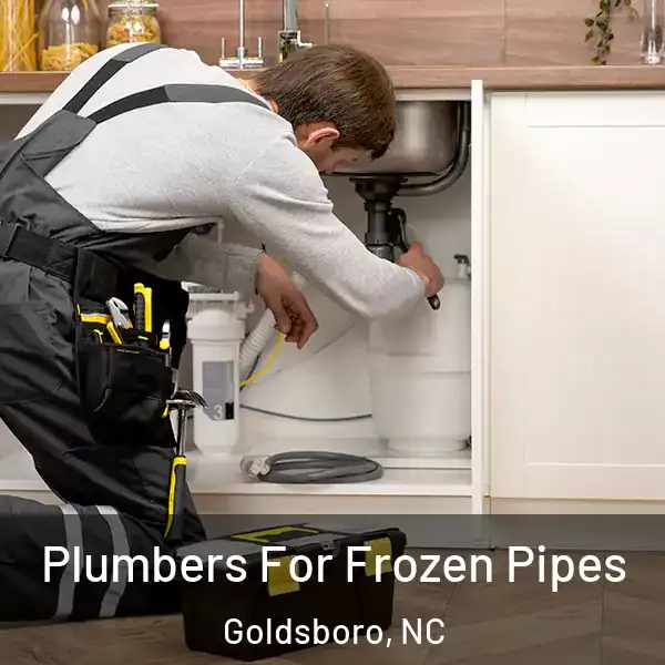  Plumbers For Frozen Pipes Goldsboro, NC