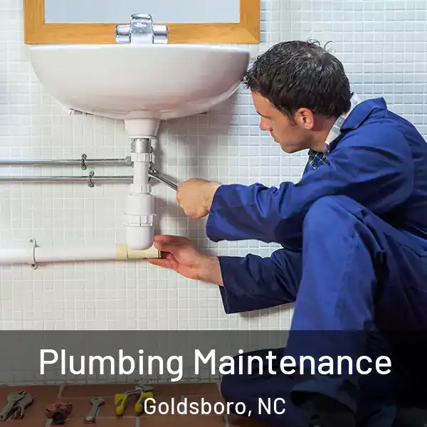  Plumbing Maintenance Goldsboro, NC