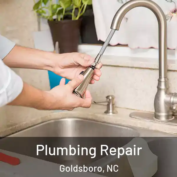 Plumbing Repair Goldsboro, NC