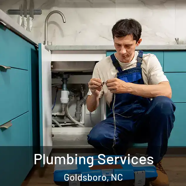  Plumbing Services Goldsboro, NC