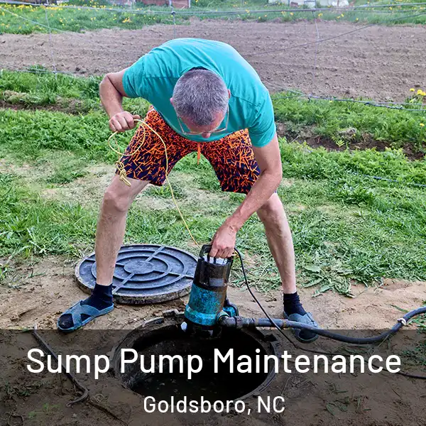  Sump Pump Maintenance Goldsboro, NC