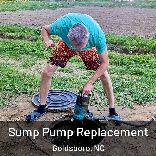  Sump Pump Replacement Goldsboro, NC