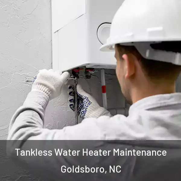  Tankless Water Heater Maintenance Goldsboro, NC