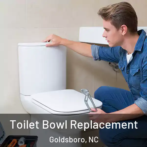  Toilet Bowl Replacement Goldsboro, NC