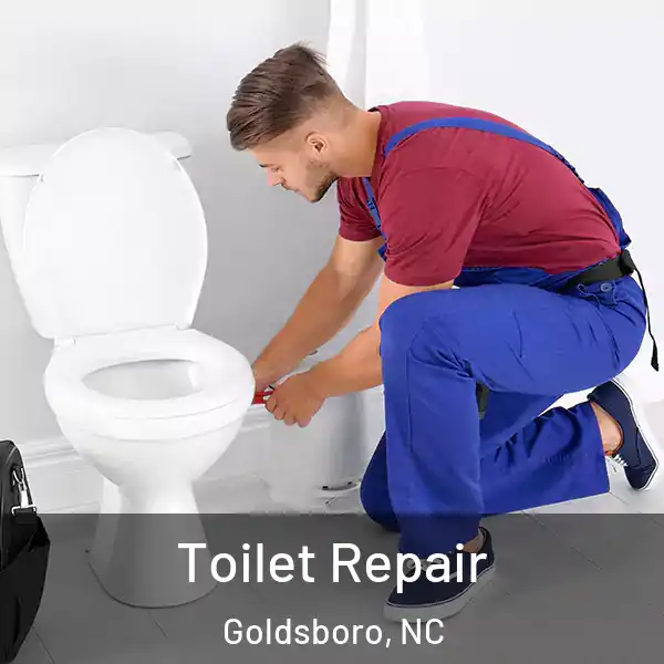  Toilet Repair Goldsboro, NC