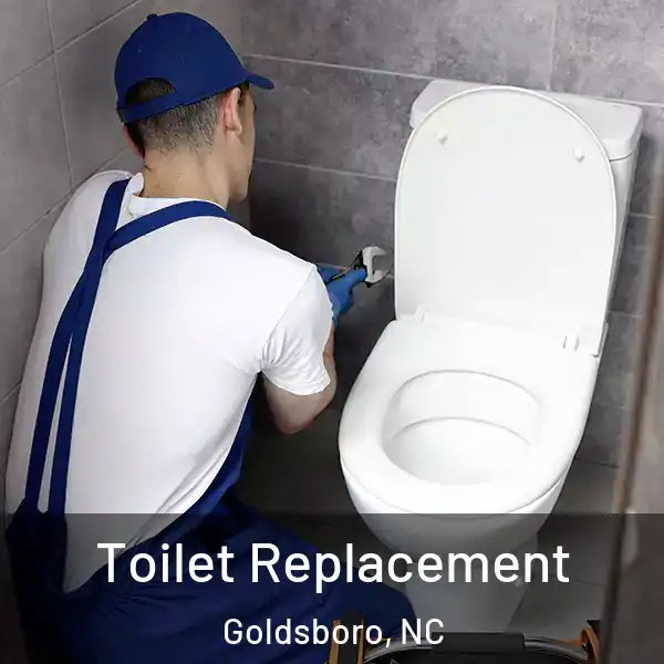  Toilet Replacement Goldsboro, NC