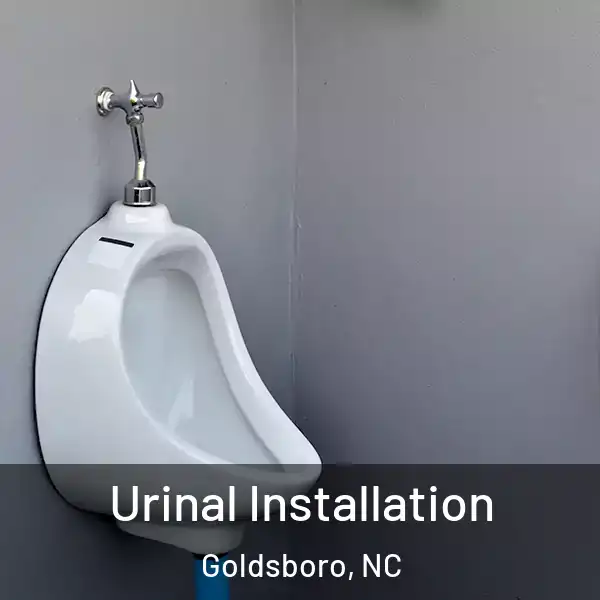  Urinal Installation Goldsboro, NC