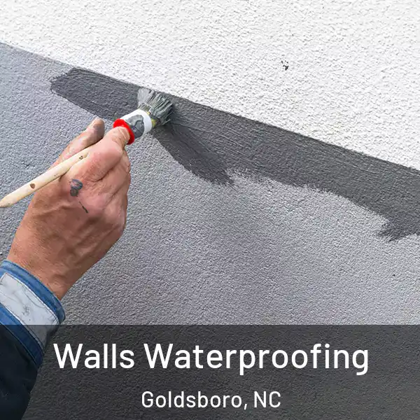  Walls Waterproofing Goldsboro, NC