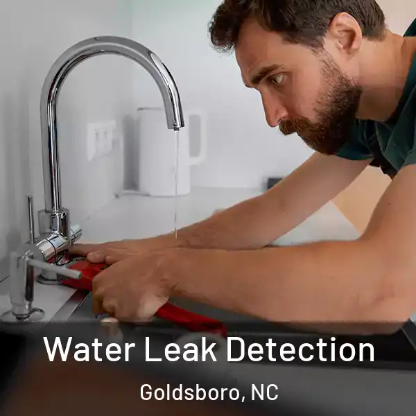  Water Leak Detection Goldsboro, NC